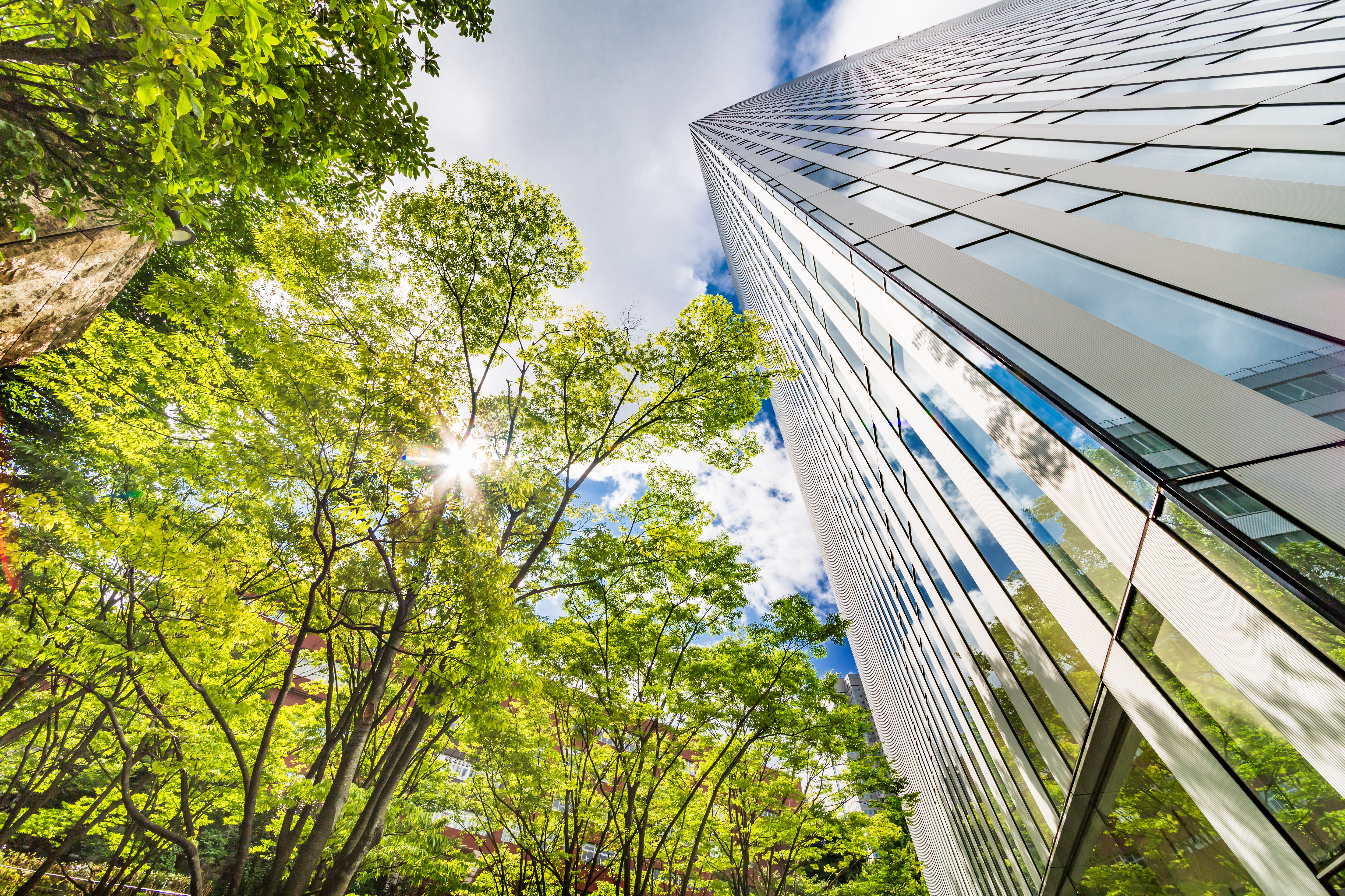 Flexible workspaces can help commercial real estate 'go green'